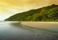 Cape Tribulation, Coconut Beach